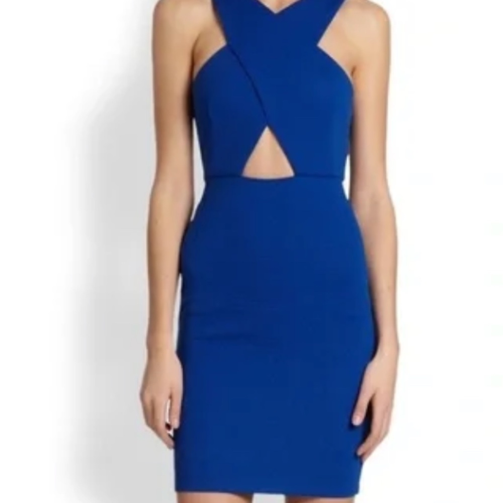 Torn by Ronny kobo dress